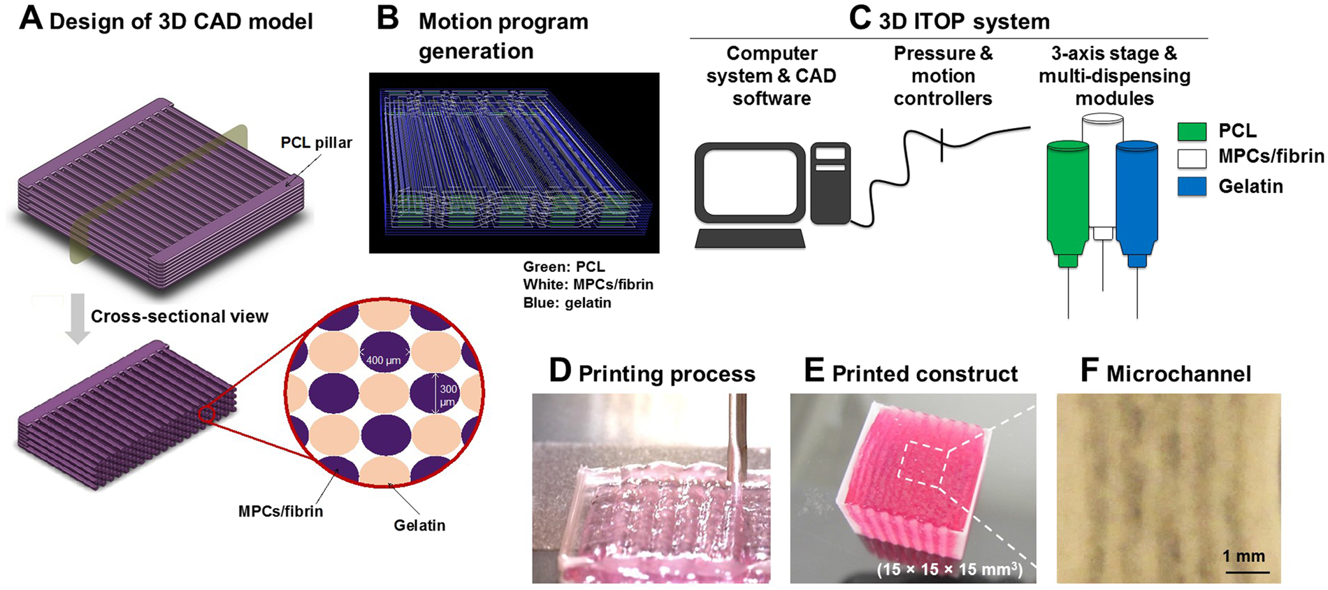 3D Bioprinted Human Muscle Constructs Muscle Function Restoration | Reports
