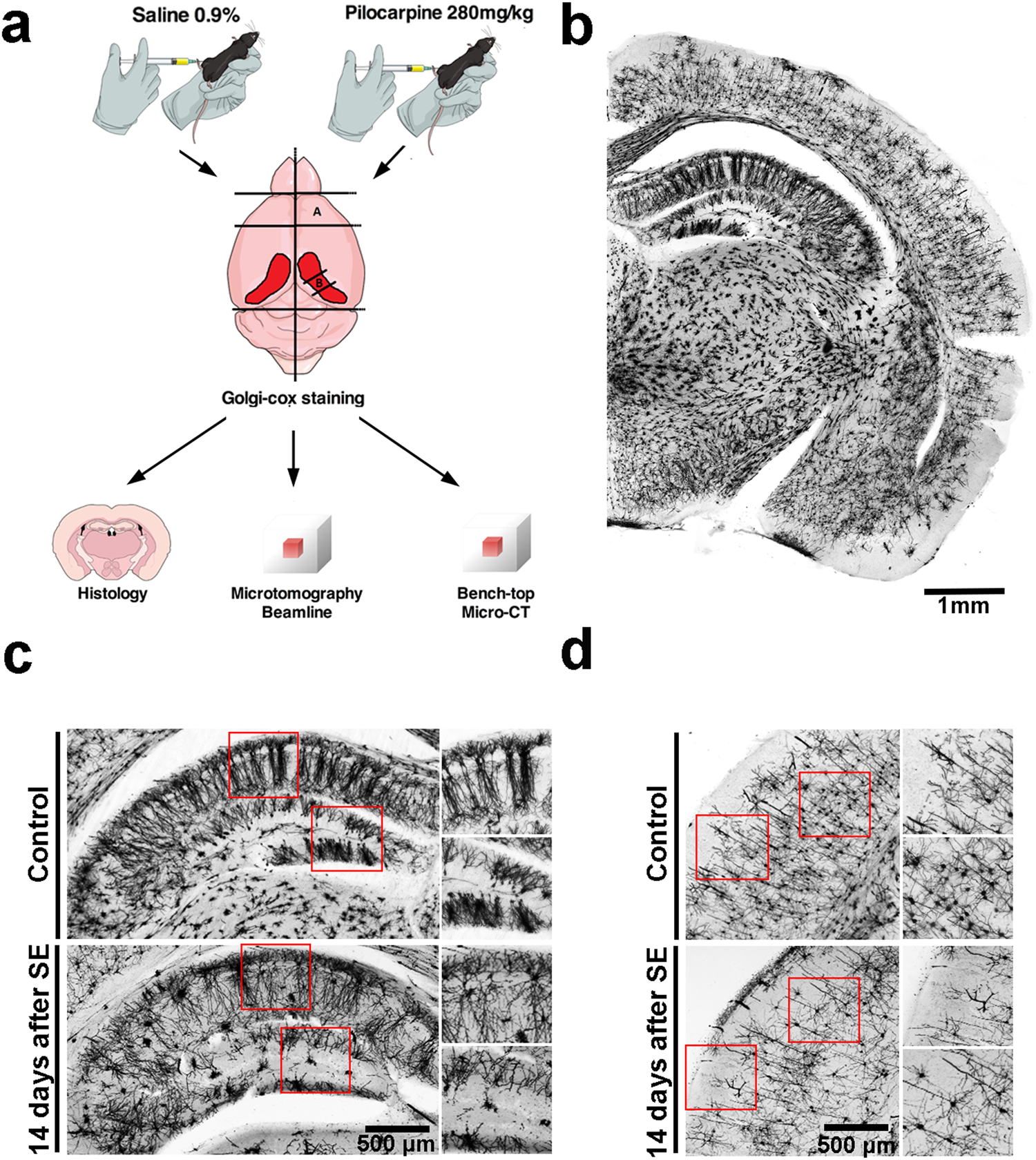 The First Dynamic Micro-CT System to Deliver Sub-Micron 3D Imaging