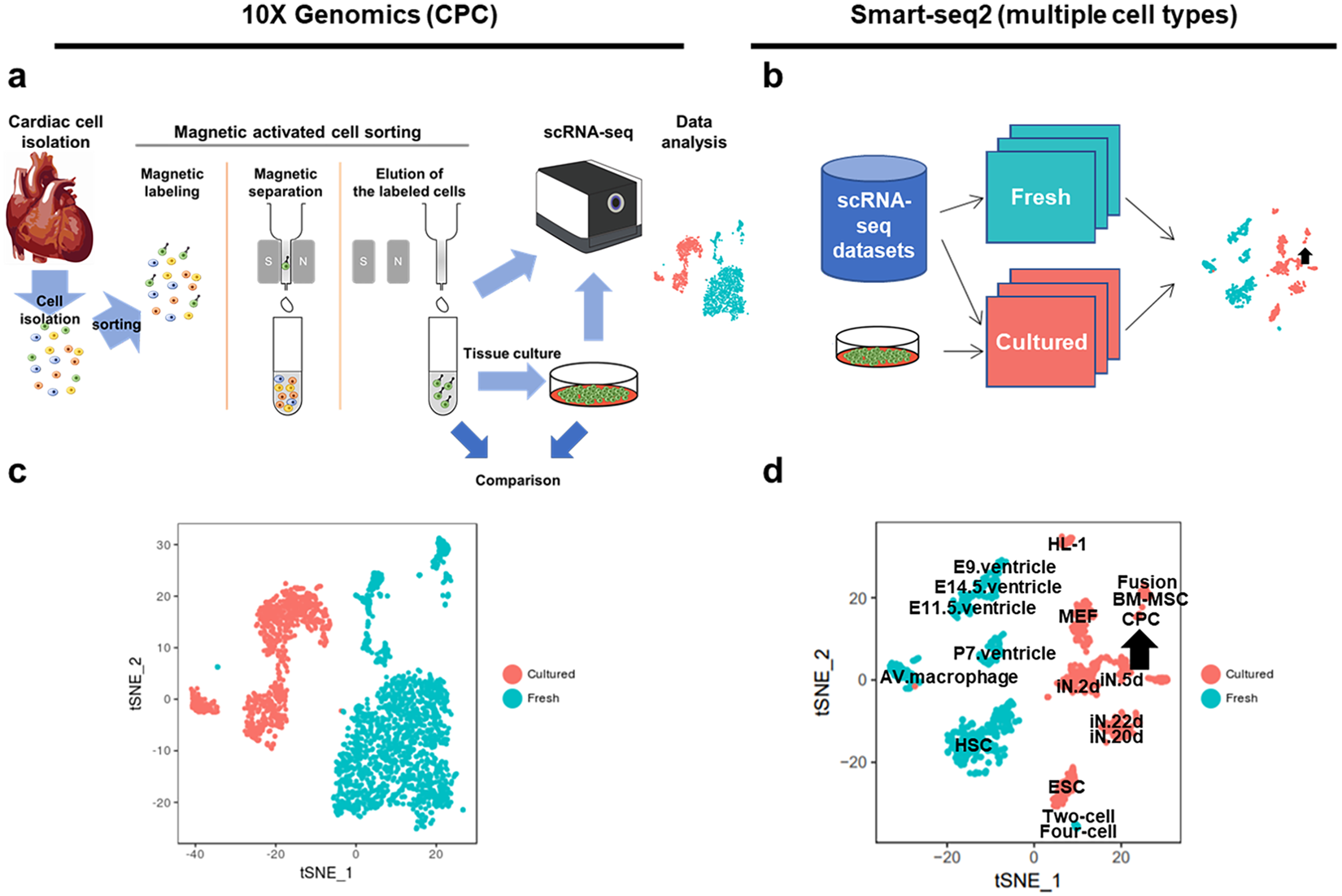 In Situ Transcriptome Characteristics Are Lost Following - 