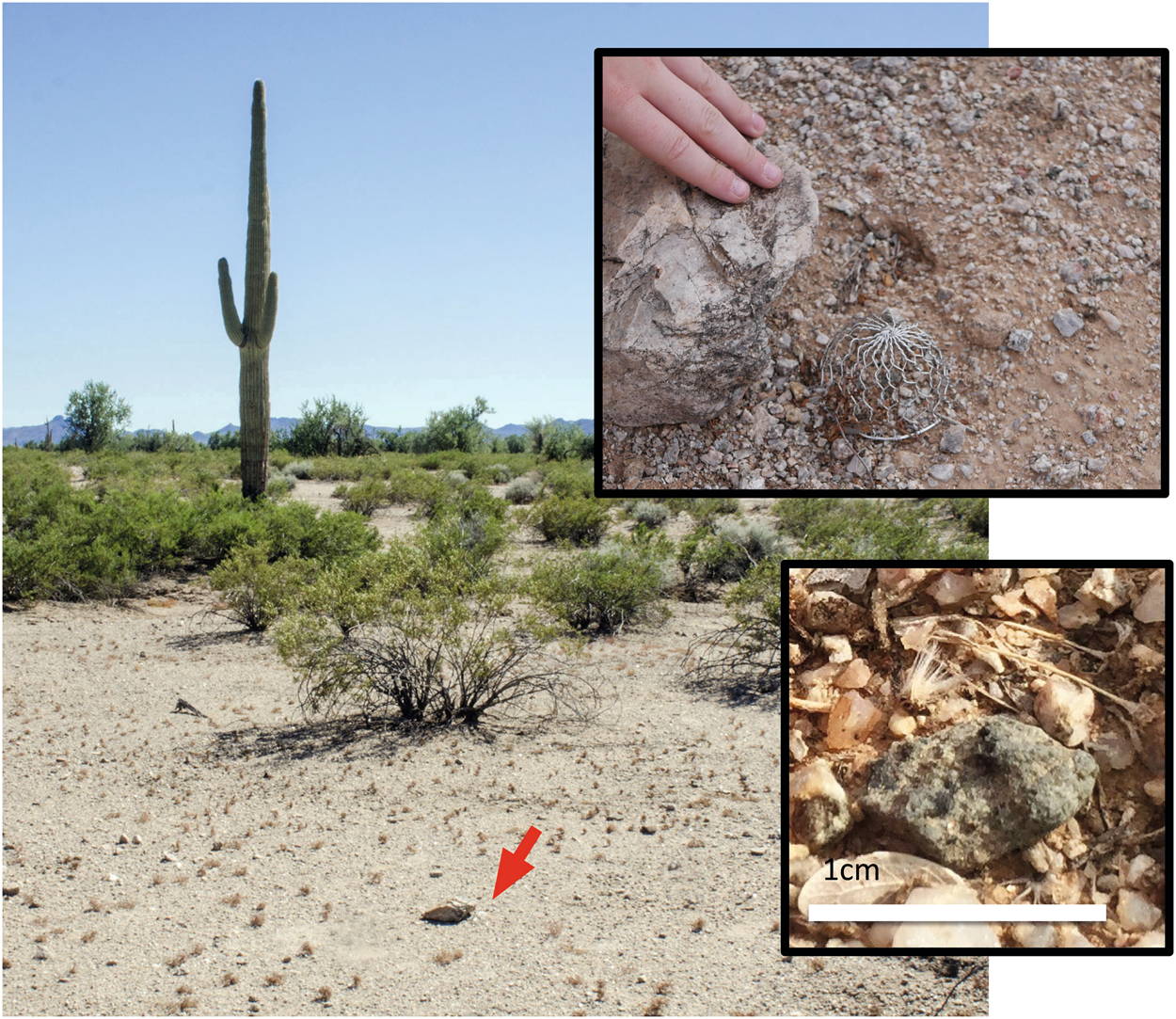 flat earth meteorite