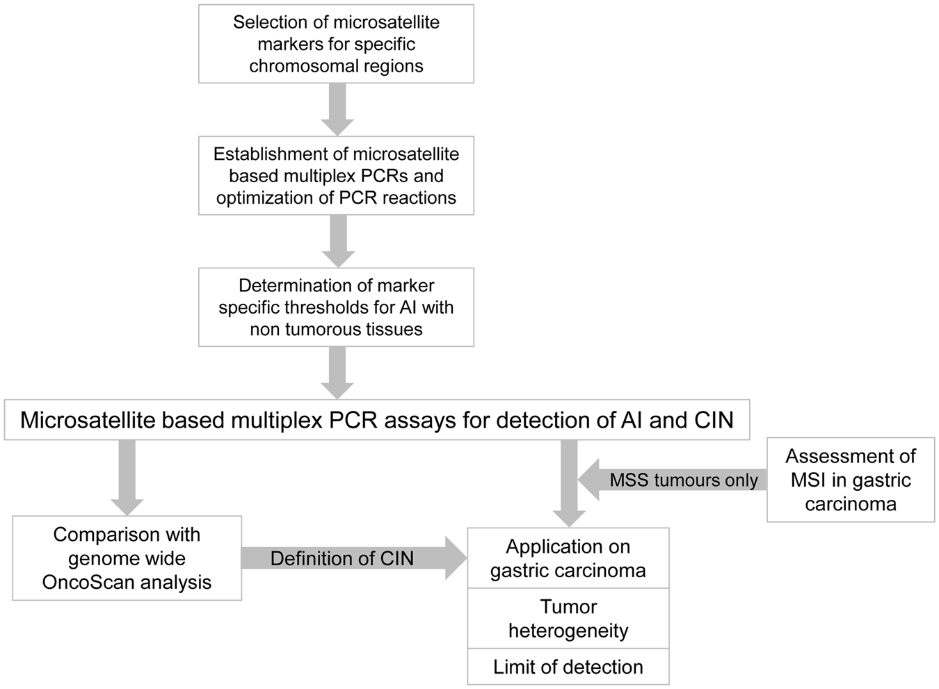 A microsatellite based multiplex PCR method for the detection of  chromosomal instability in gastric cancer | Scientific Reports
