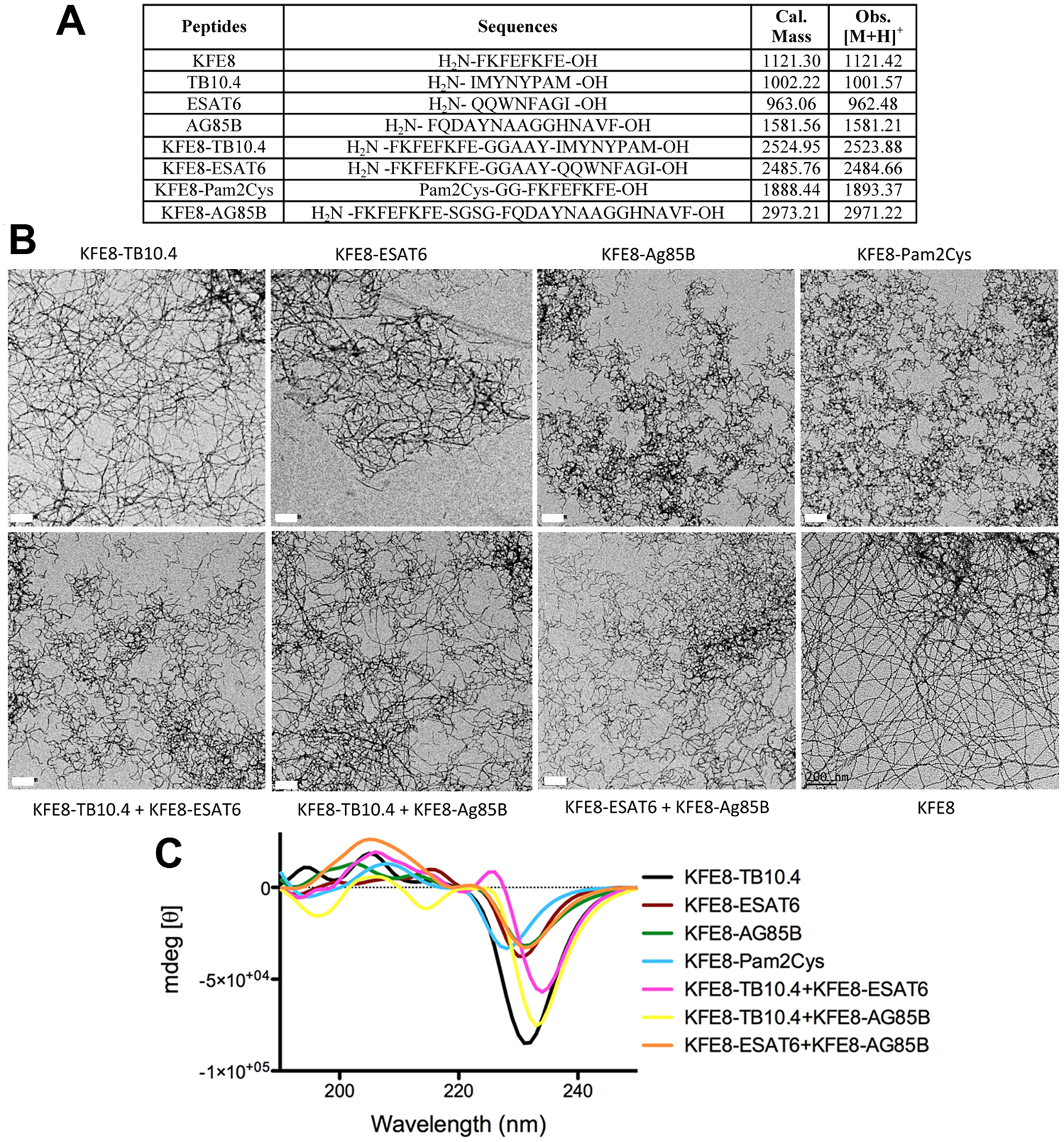 Rationally Designed Self-Assembling Nanovaccines Elicit Robust