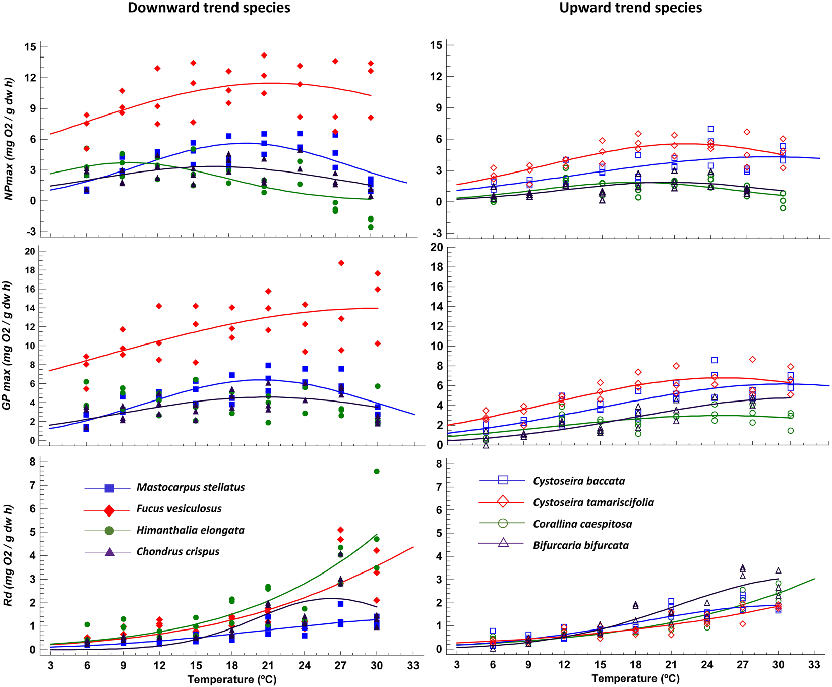 Seaweed assemblages under a climate change scenario: Functional 