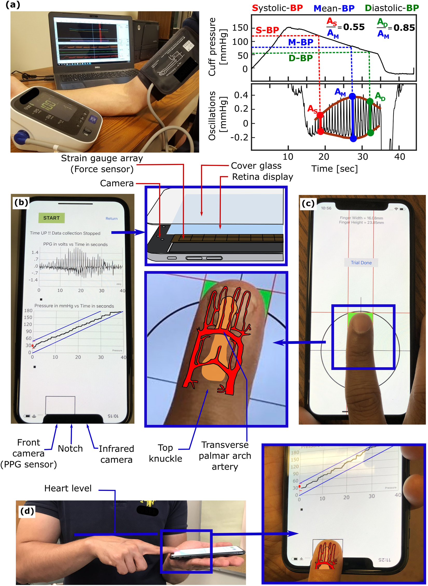 Smartphone-based blood pressure monitoring via the oscillometric  finger-pressing method