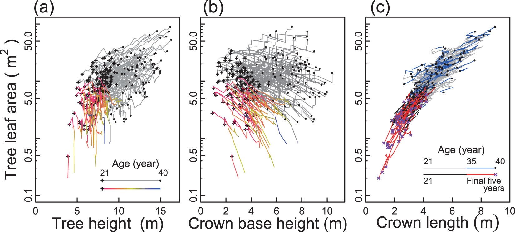 Interannual variability of leaf area index of an evergreen conifer stand  was affected by carry-over effects from recent climate conditions |  Scientific ...