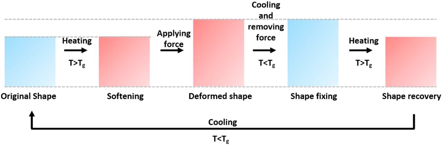 Shape Transformable Bifurcated Stents Scientific Reports - 