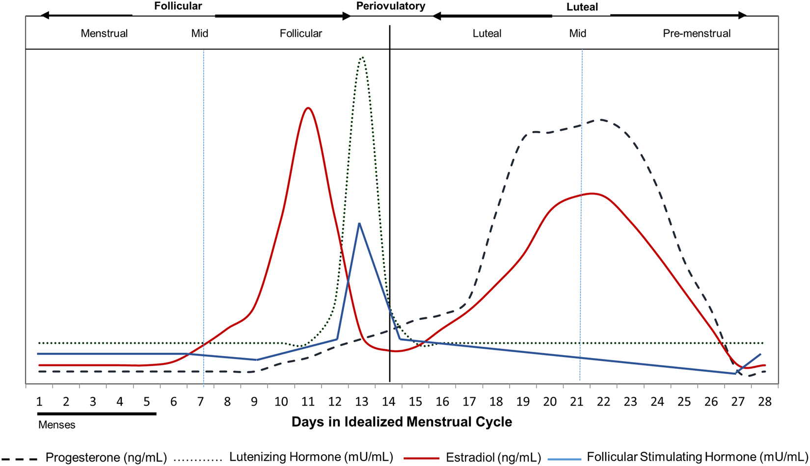 Menstrual cycle rhythmicity: metabolic patterns in healthy women