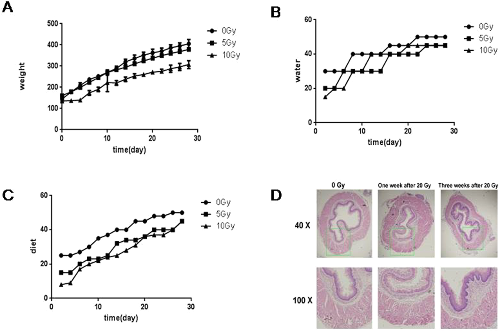 Profiling circRNA and miRNA of radiation-induced esophageal injury in a rat  model | Scientific Reports