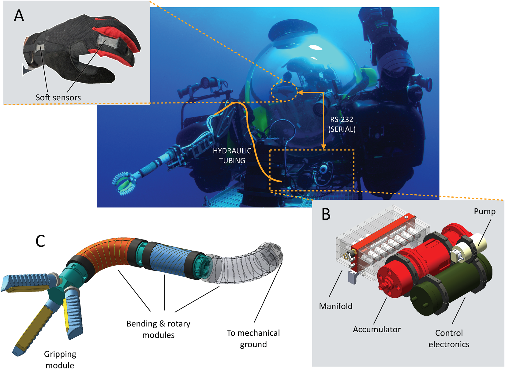 Bio-Inspired Ocean Exploration