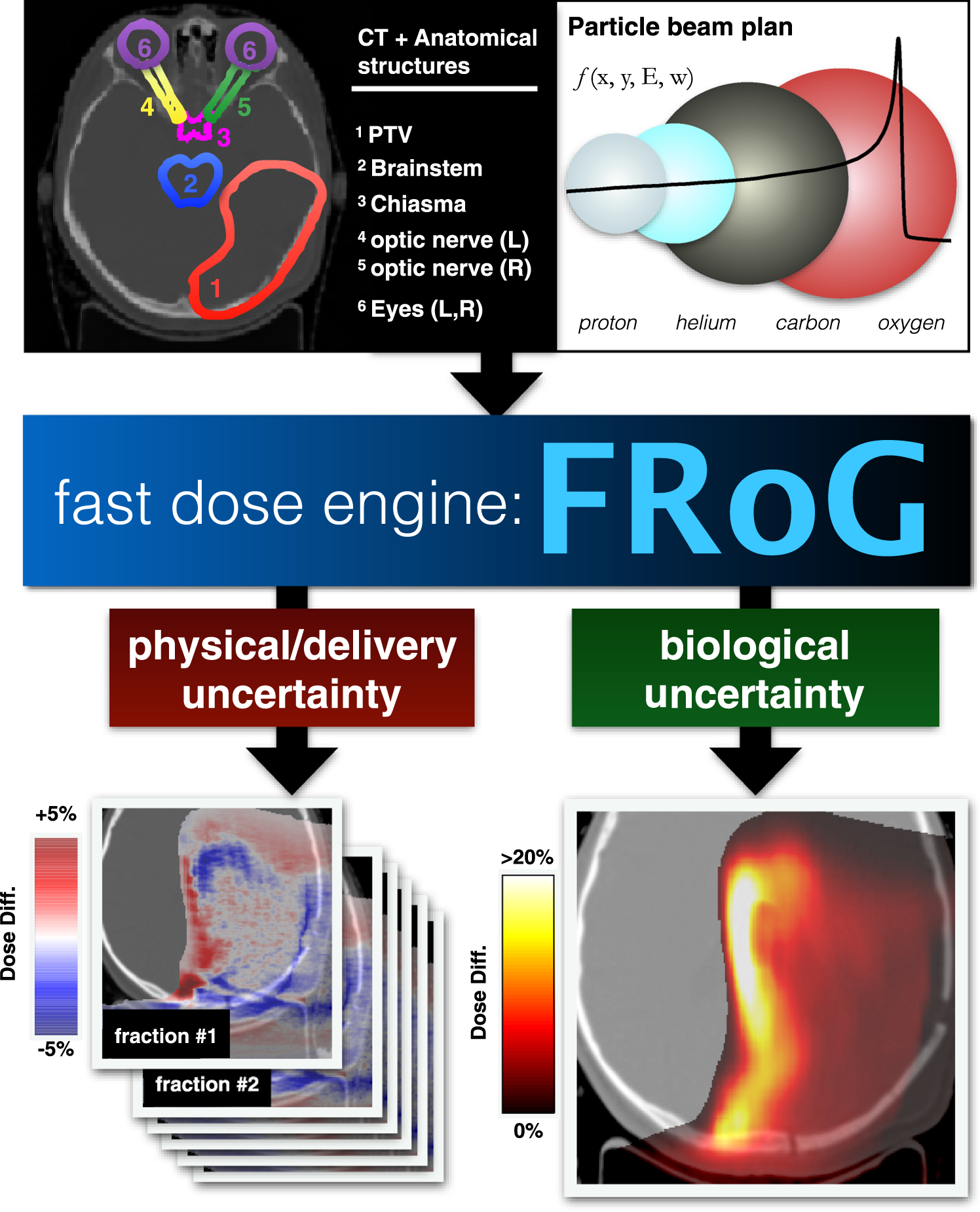 Fast robust dose calculation on GPU for high-precision 1H, 4He, 12C and 16O  ion therapy: the FRoG platform | Scientific Reports