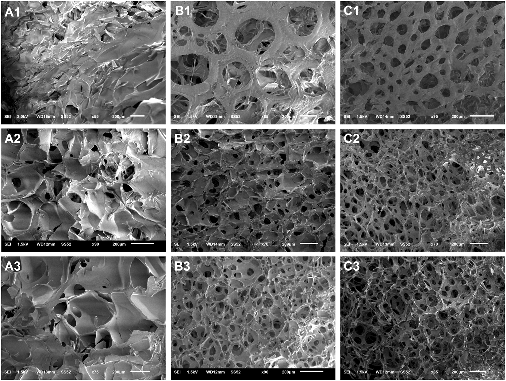 Dual Porosity Protein Based Scaffolds With Enhanced Cell
