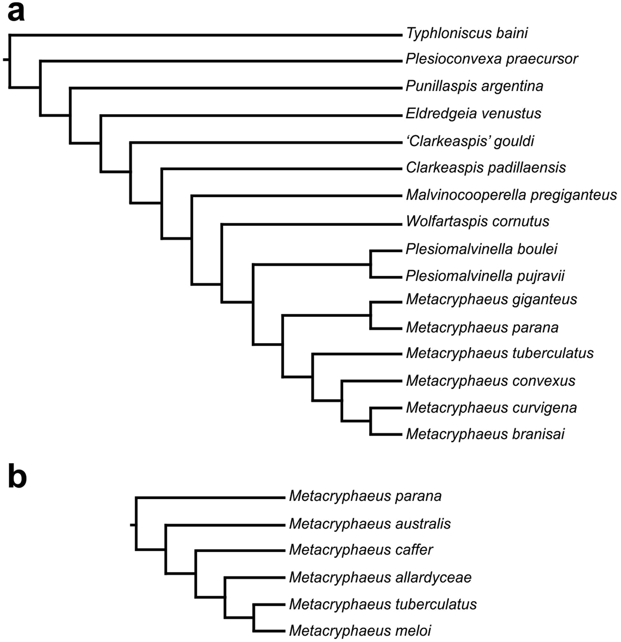 Inferring ancestral range reconstruction based on trilobite records: a  study-case on Metacryphaeus (Phacopida, Calmoniidae) | Scientific Reports