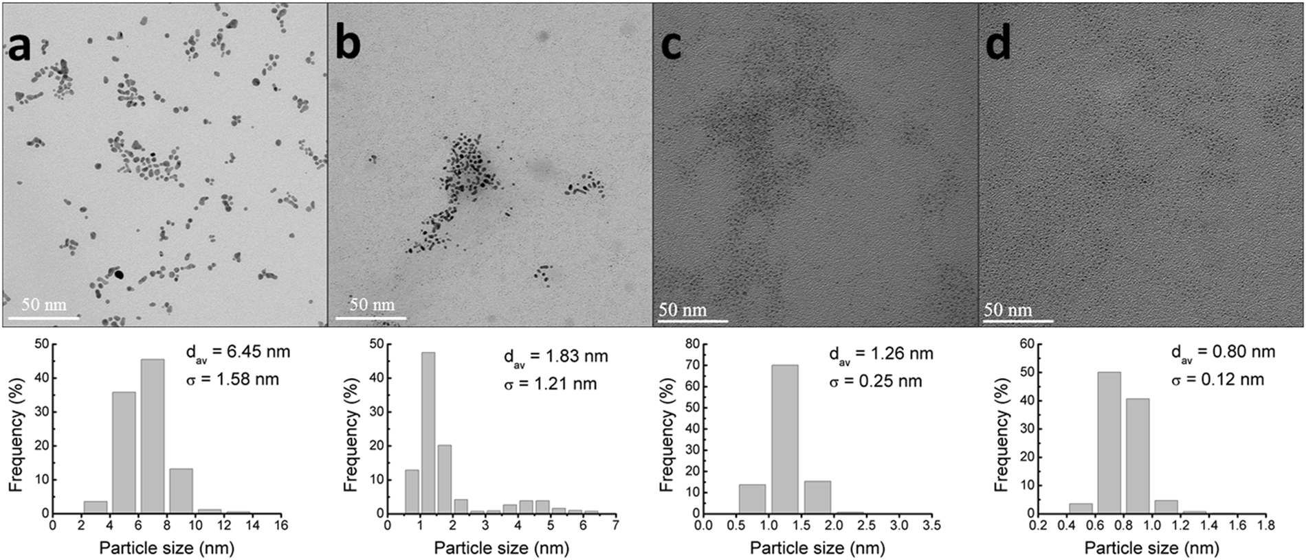 Toxic Effects Of Size Tunable Gold Nanoparticles On Caenorhabditis Elegans Development And Gene Regulation Scientific Reports