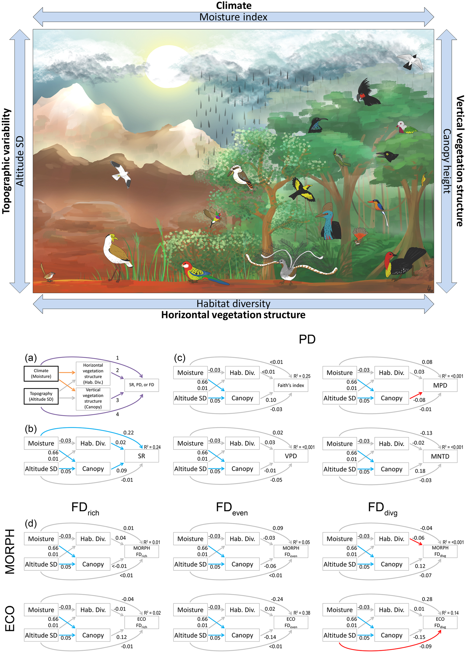 Disentangling direct and indirect effects of water availability,  vegetation, and topography on avian diversity | Scientific Reports, image size:1500x2102