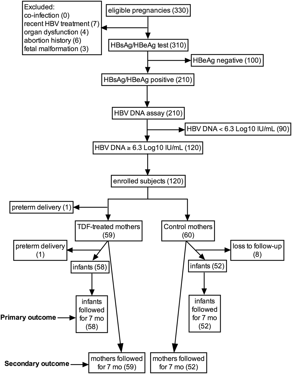 Hepatitis B Flow Chart