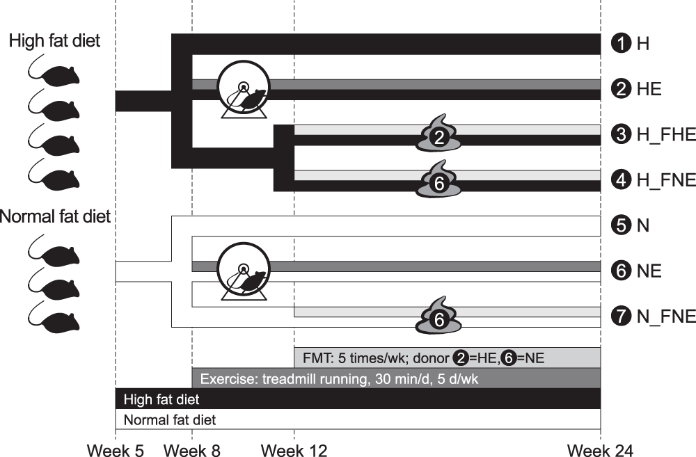 Fecal Microbiota Transplantation Confers Beneficial Fecal Microbiota Transplantation Confers Beneficial