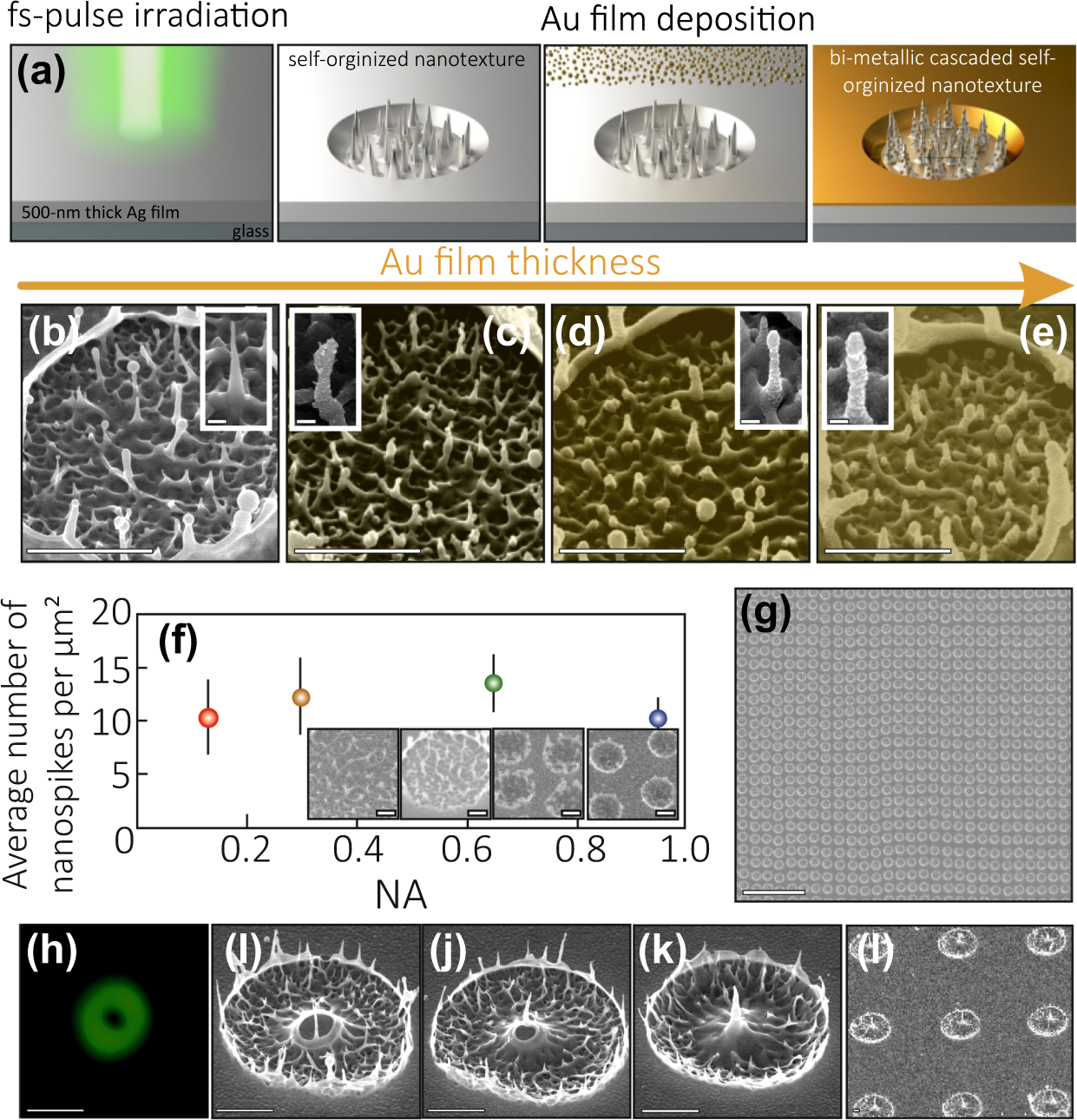 Ultrafast laser printing of self-organized bimetallic nanotextures for  multi-wavelength biosensing | Scientific Reports