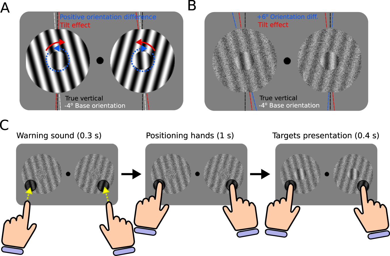 Touch engages visual spatial contextual processing | Scientific ...