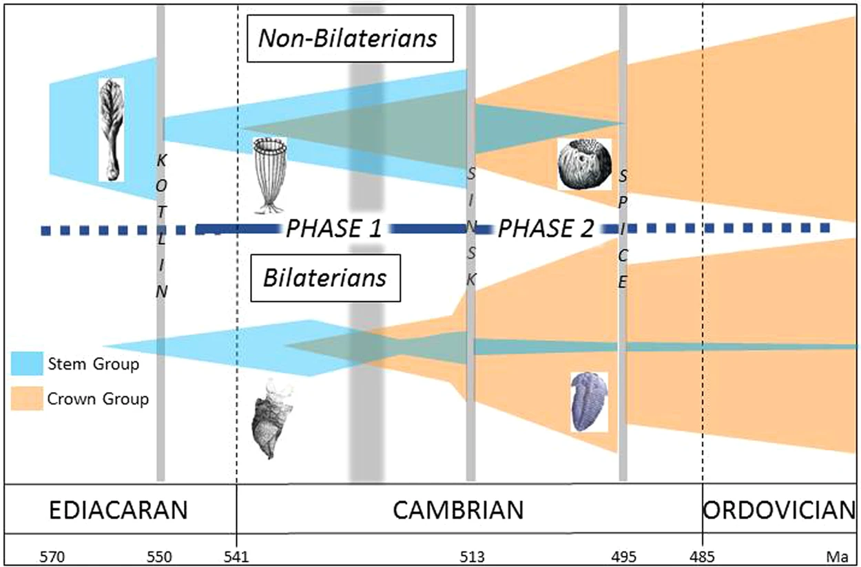 Cambrian Explosion timeline