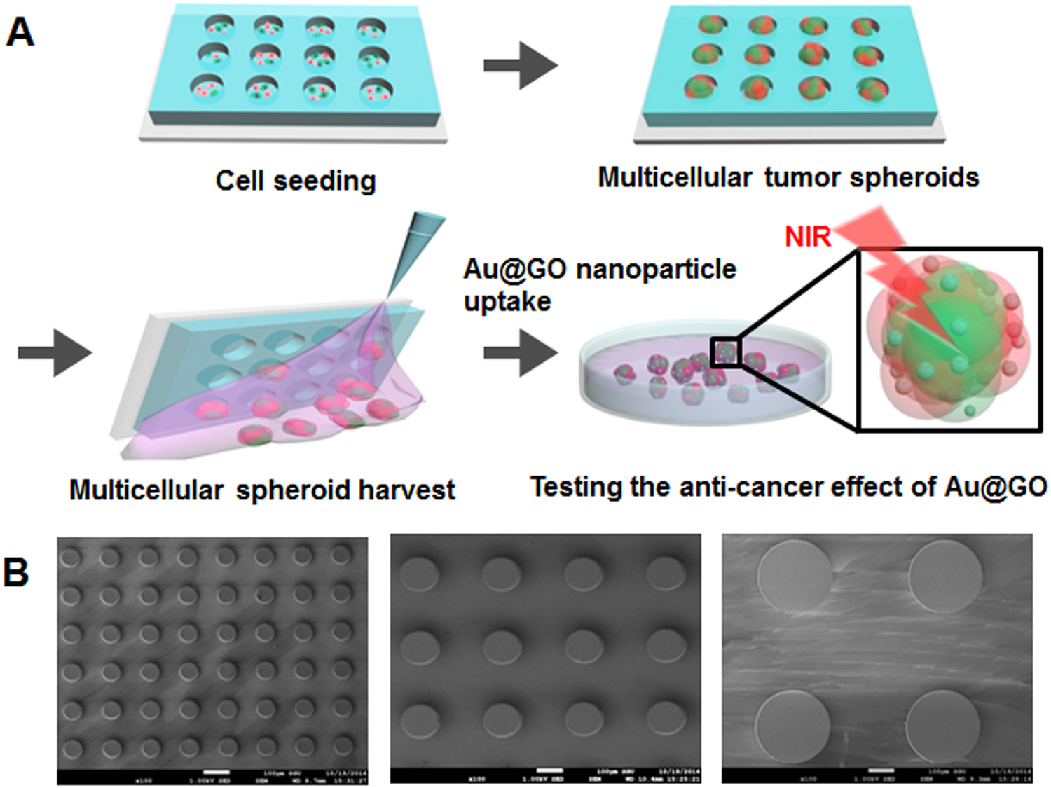 Double emulsion-pretreated microwell culture for the in vitro production of  multicellular spheroids and their in situ analysis