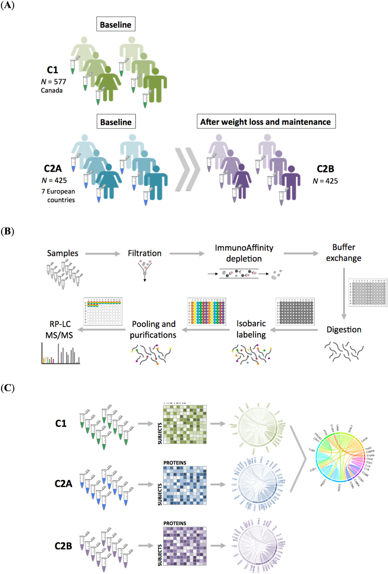 Obesity Shows Preserved Plasma Proteome In Large Independent