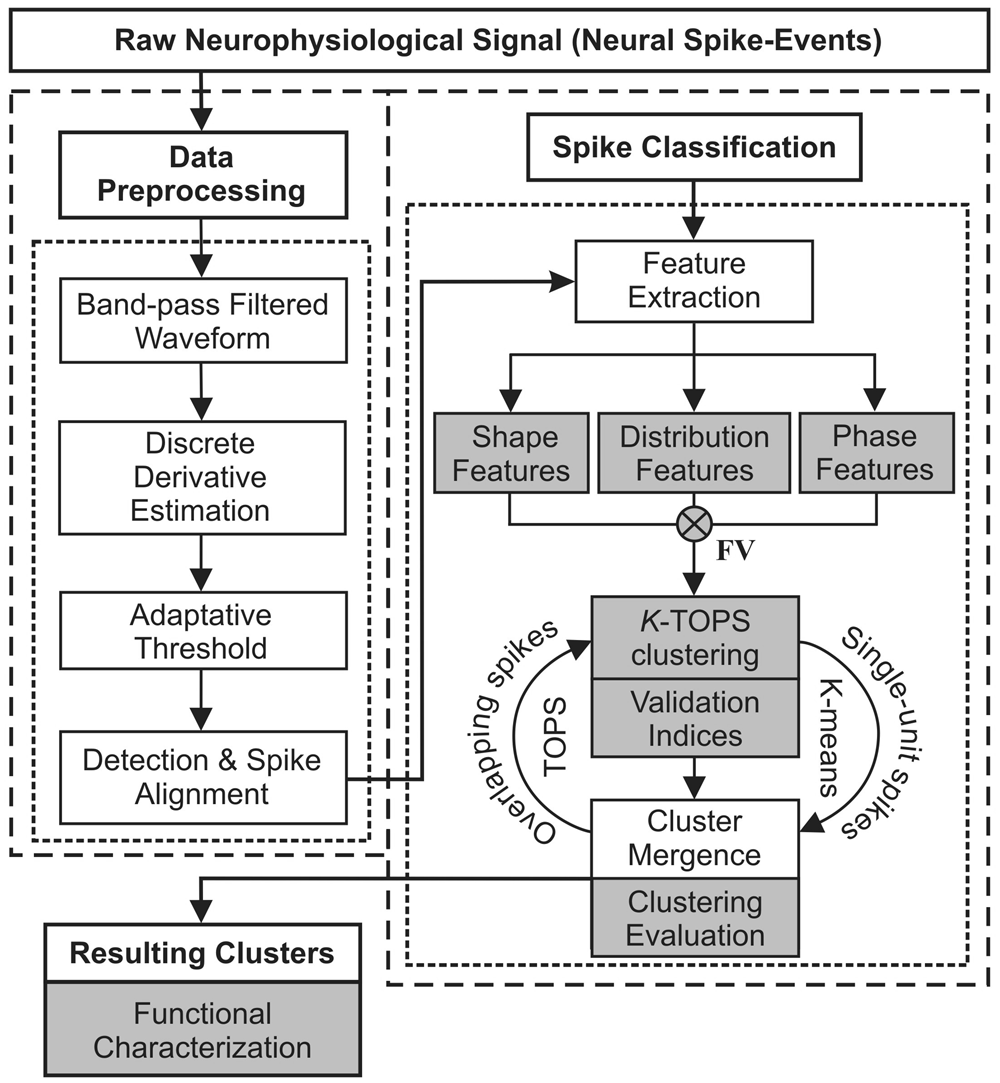 Spike sorting based on shape, phase, and distribution features, and K-TOPS  clustering with validity and error indices