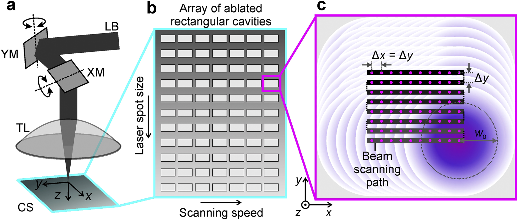 Advanced laser scanning for highly-efficient ablation and ultrafast surface  structuring: experiment and model