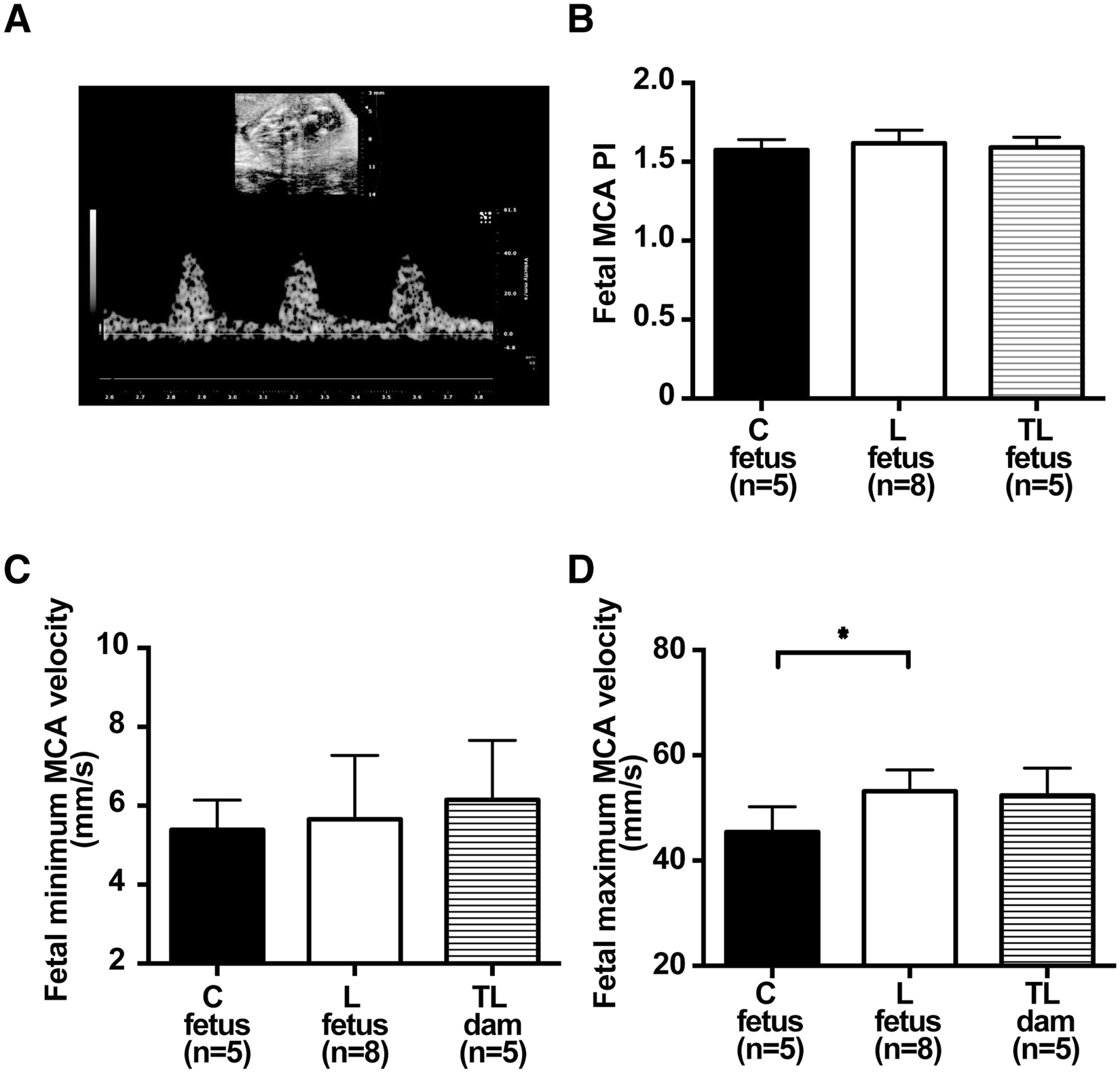 Tadalafil treatment in mice for preeclampsia with fetal growth restriction  has neuro-benefic effects in offspring through modulating prenatal hypoxic  conditions | Scientific Reports