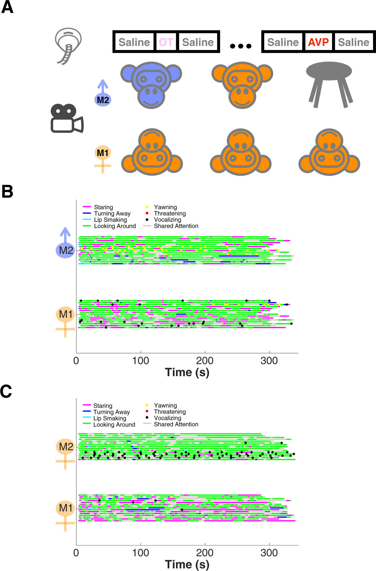 Oxytocin And Vasopressin Increase Male Directed Threats And