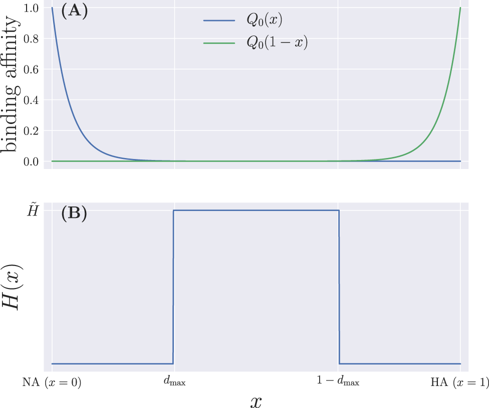 Adjuvanted Influenza Vaccine Dynamics Scientific Reports
