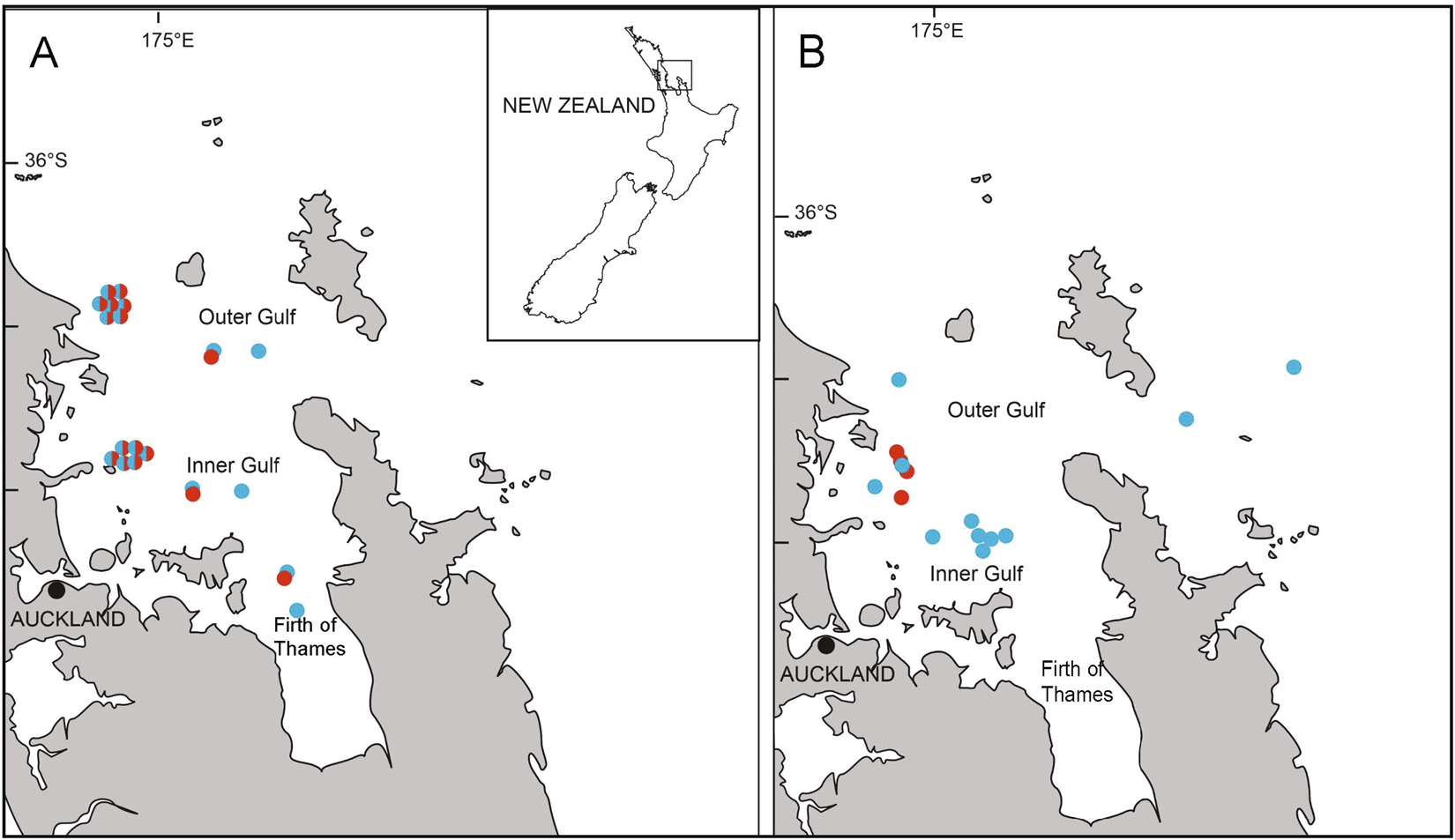 Multi-locus DNA metabarcoding of zooplankton communities and scat reveal  trophic interactions of a generalist predator | Scientific Reports