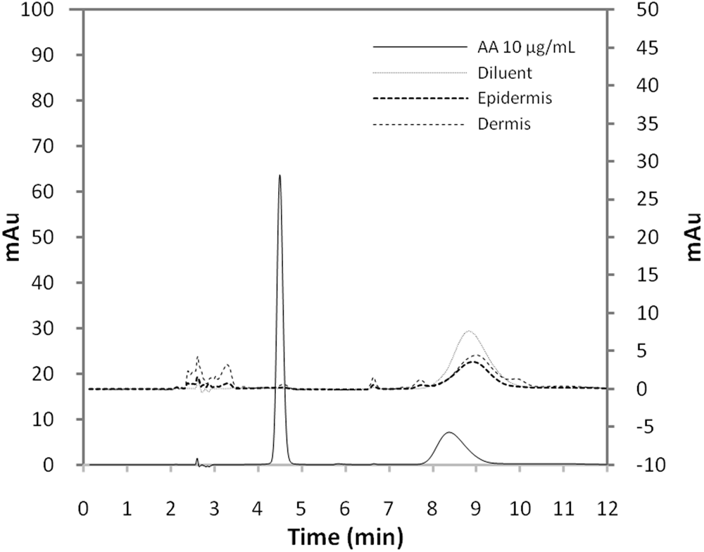 Ascorbic Acid Encapsulated Into Negatively Charged Liposomes