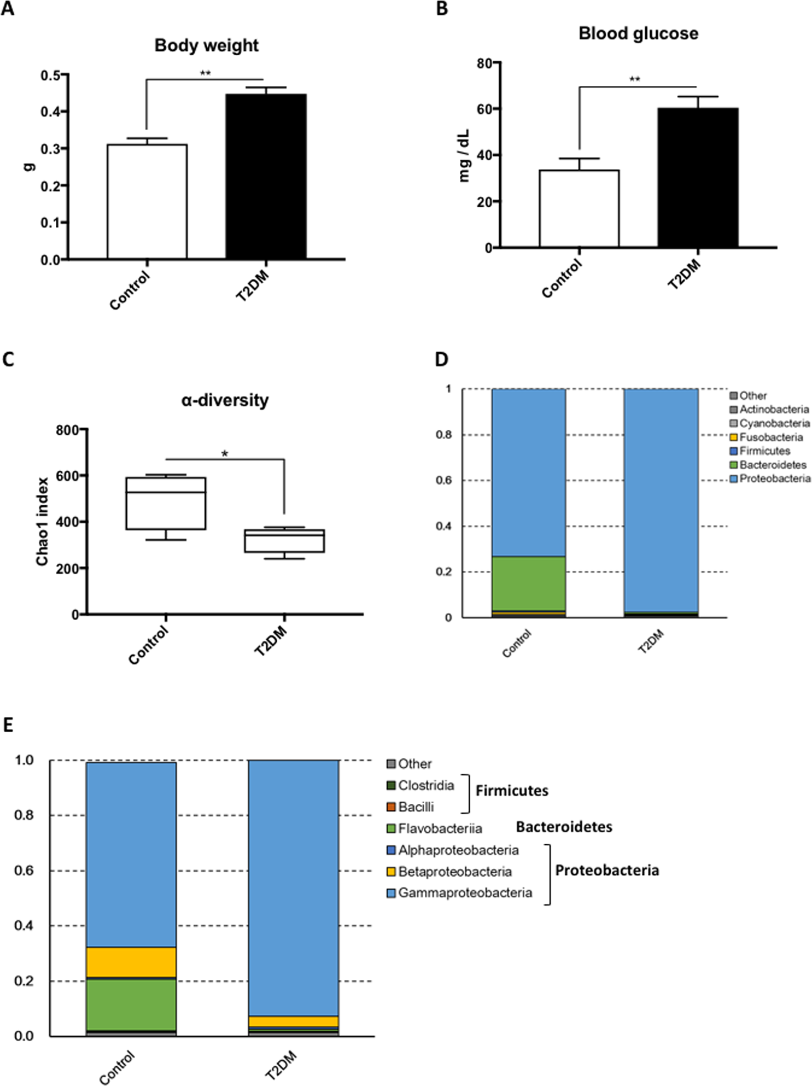 Microbiome Alteration In Type 2 Diabetes Mellitus Model Of Zebrafish Scientific Reports Microbiome Alteration In Type 2 Diabetes Mellitus Model Of Zebrafish Scientific Reports