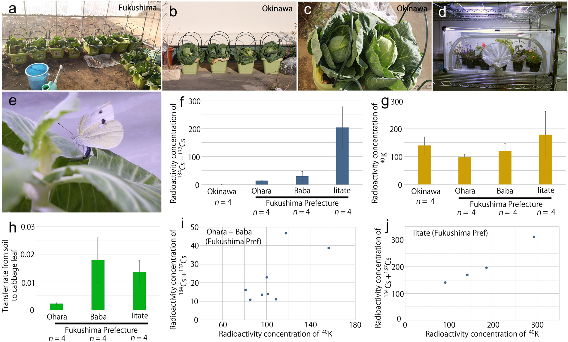 Developmental And Hemocytological Effects Of Ingesting Fukushima S