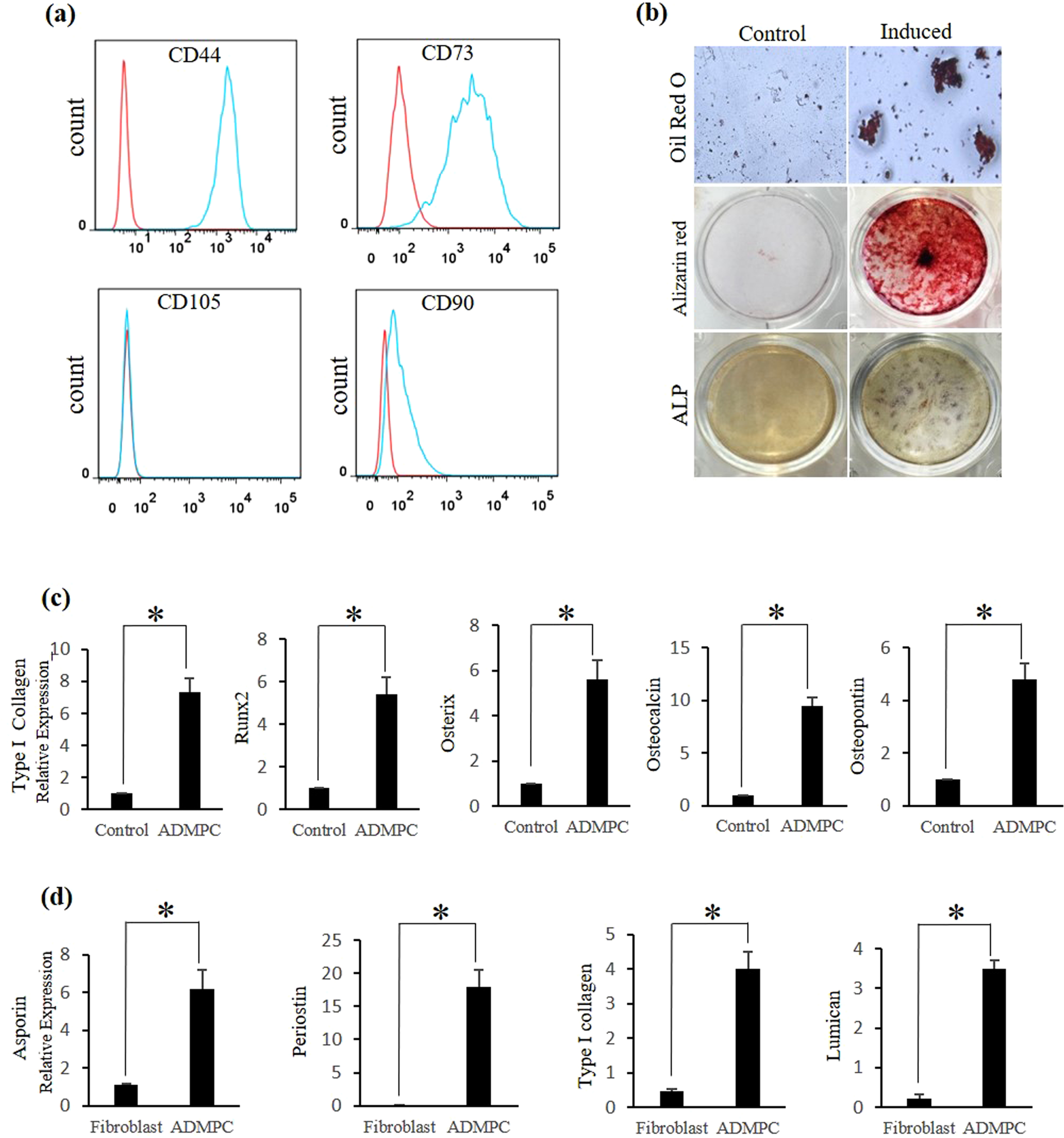 bpc-157 periodontal regeneration study Recent advances in periodontal regeneration: A biomaterial perspective main image 1