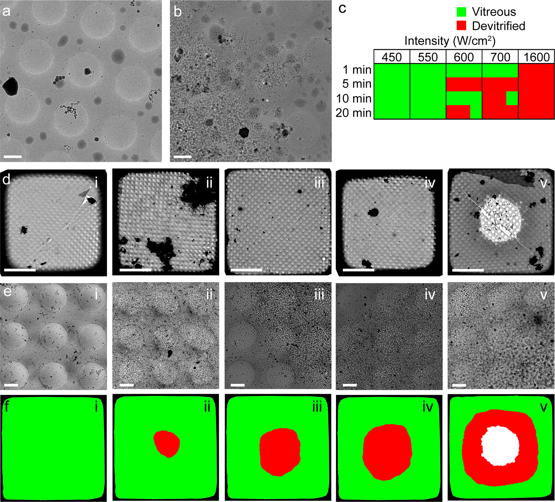 Correlative cryo super-resolution light and electron microscopy on  mammalian cells using fluorescent proteins | Scientific Reports