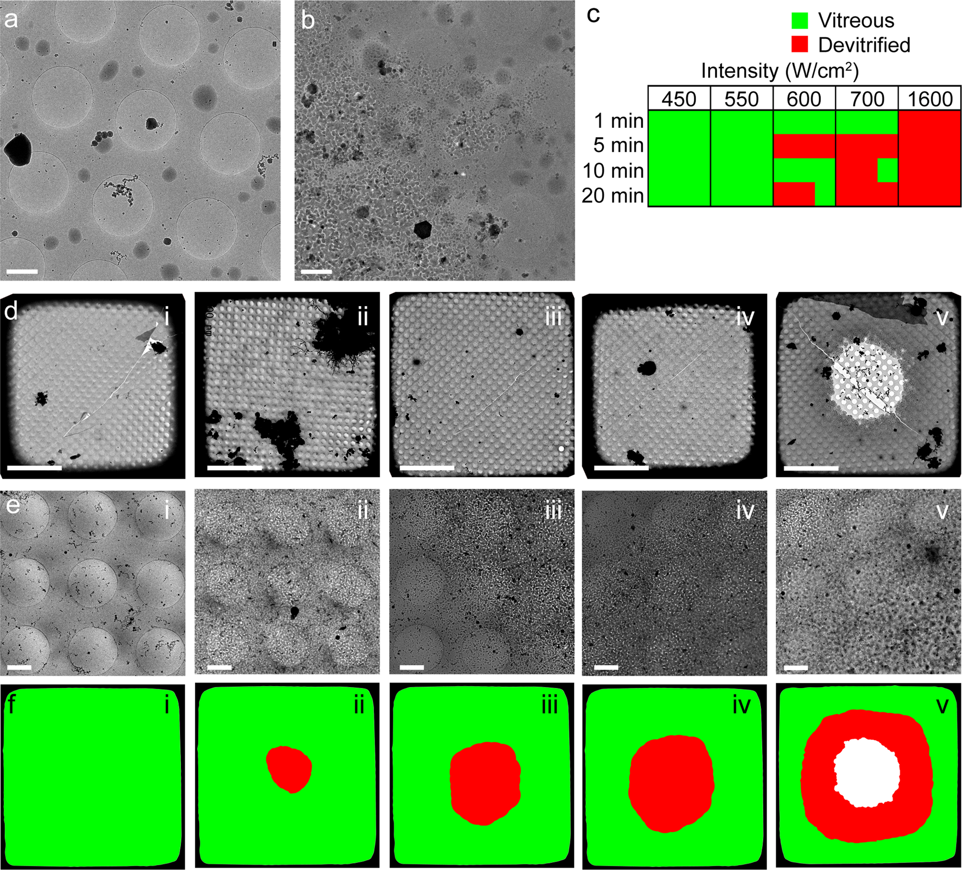 Correlative Cryo Super Resolution Light And Electron Microscopy On Correlative Cryo Super Resolution Light And Electron Microscopy On Mammalian Cells Using Fluorescent Proteins Scientific Reports