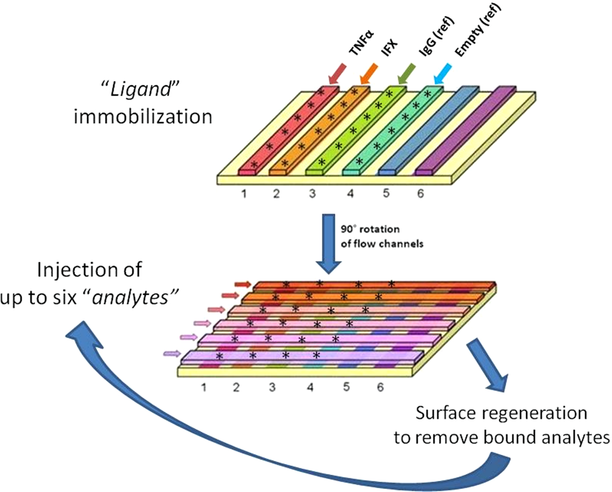 Optimizing Drug Discovery: Surface Plasmon Resonance Techniques