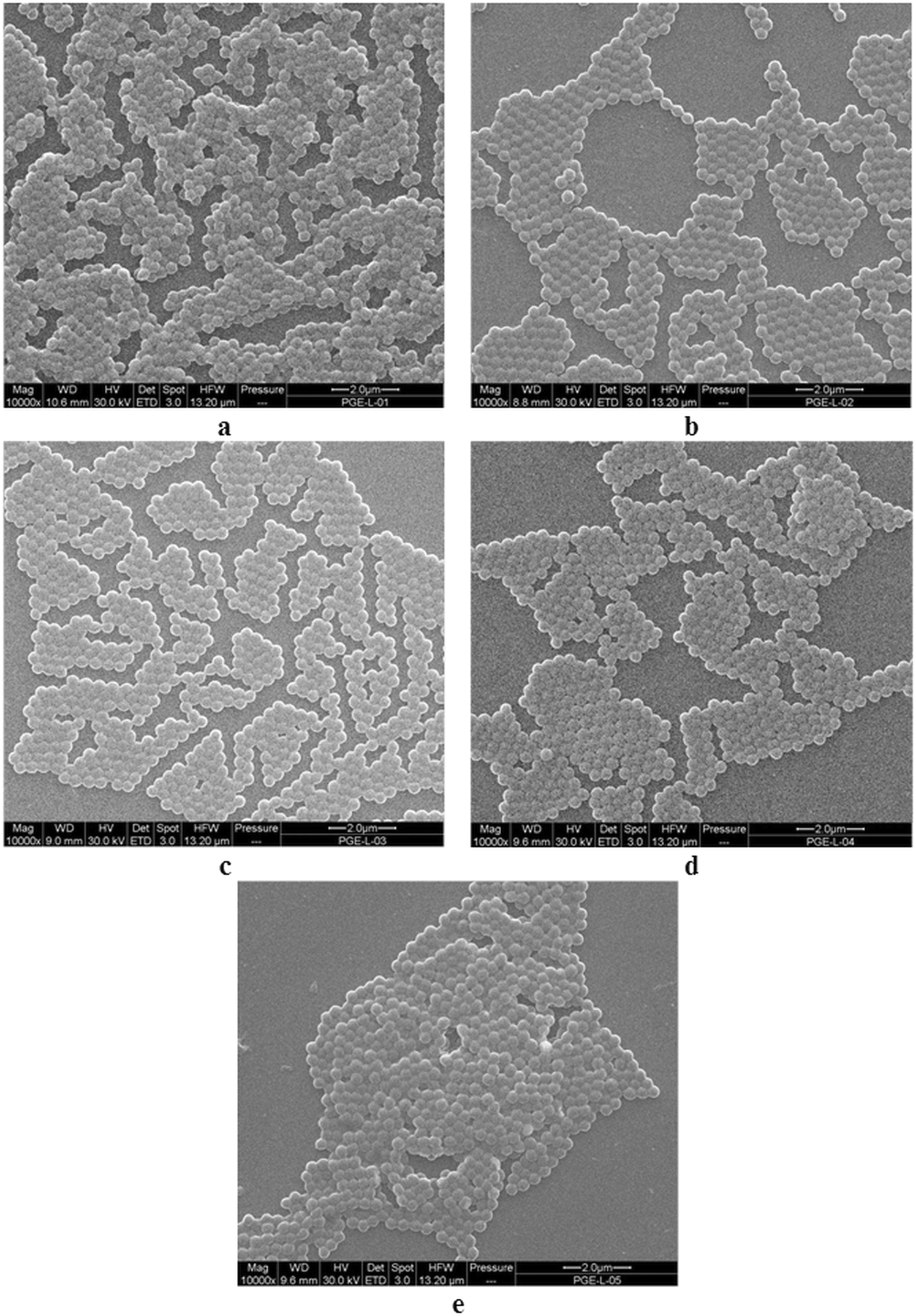 Peroxidase-like activity of magnetic poly(glycidyl methacrylate-co-ethylene  dimethacrylate) particles | Scientific Reports