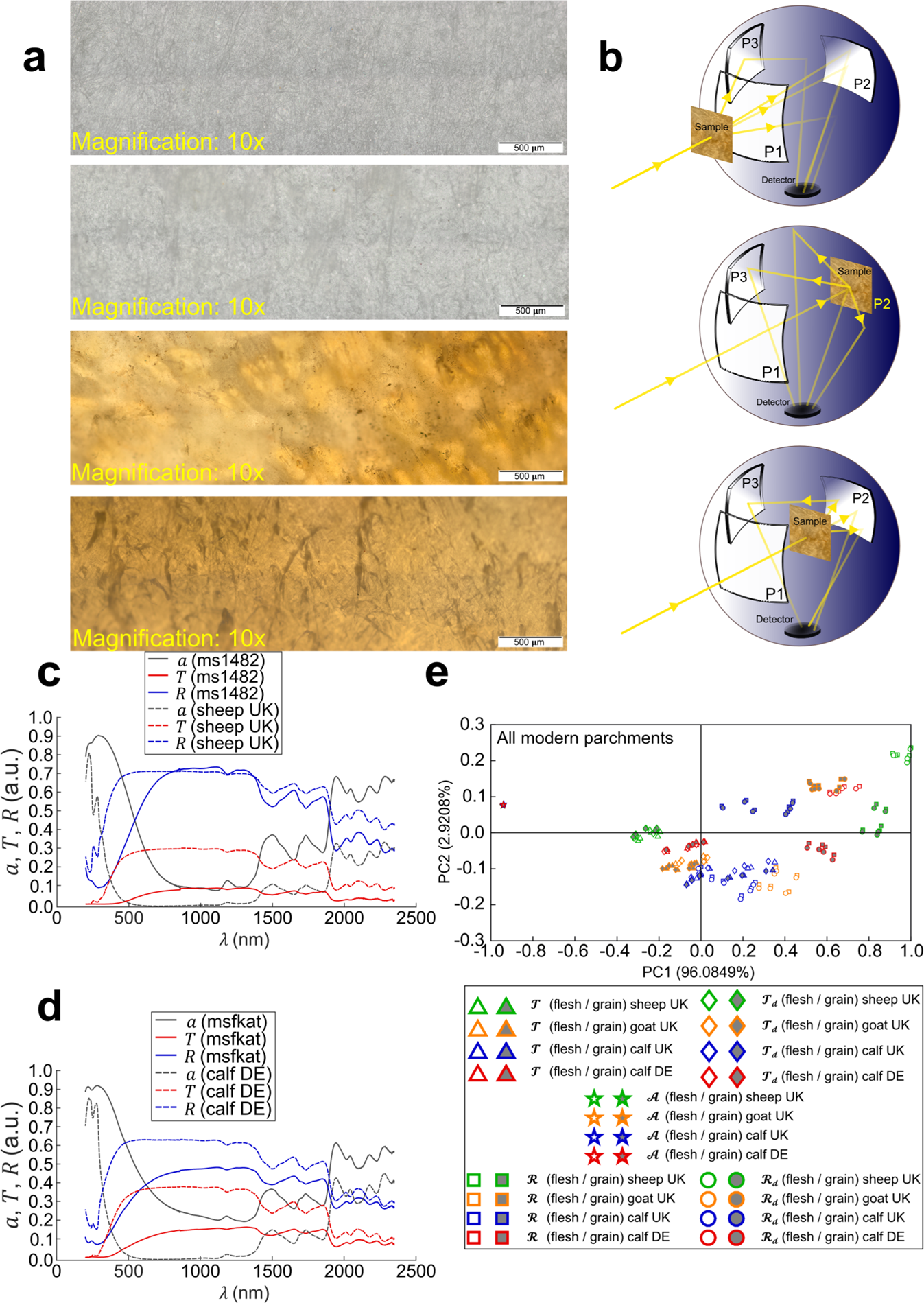 Animal Species Identification In Parchments By Light Scientific