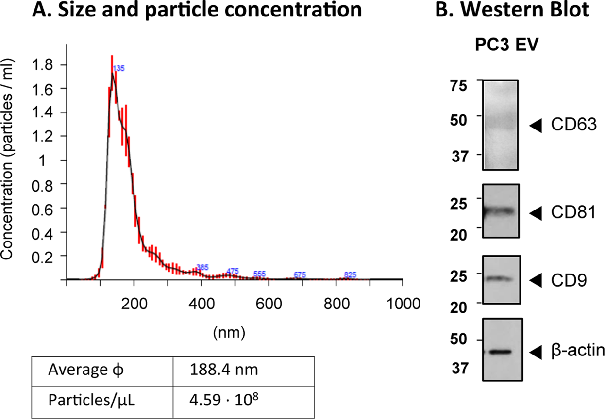 Antigen Density Chart Flow Cytometry