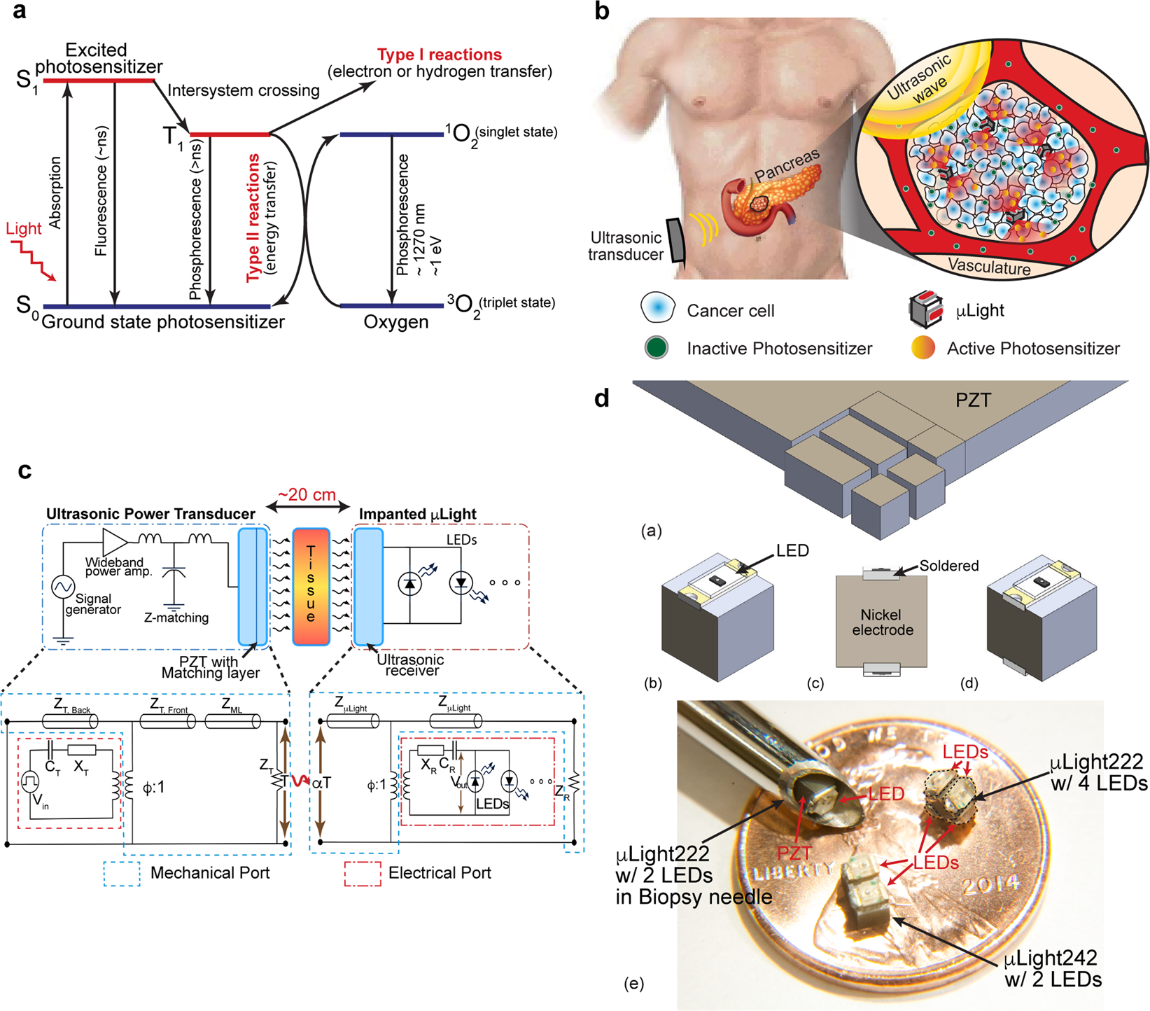 An Implantable Ultrasonically-Powered Micro-Light-Source (µLight) for  Photodynamic Therapy | Scientific Reports