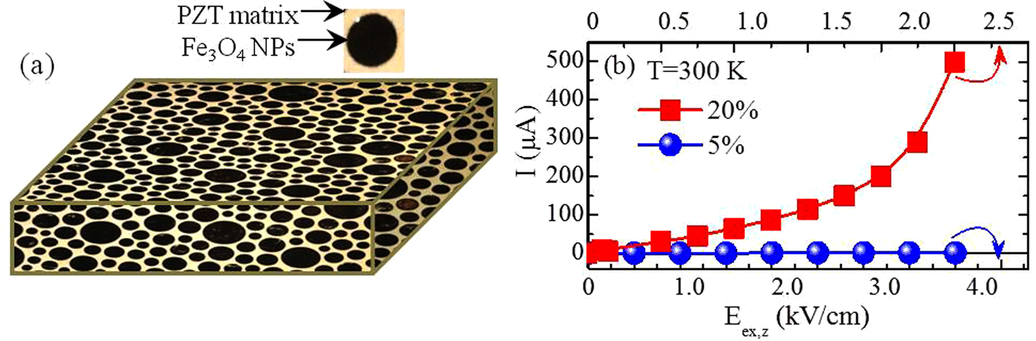 Pronounced And Reversible Modulation Of The Piezoelectric