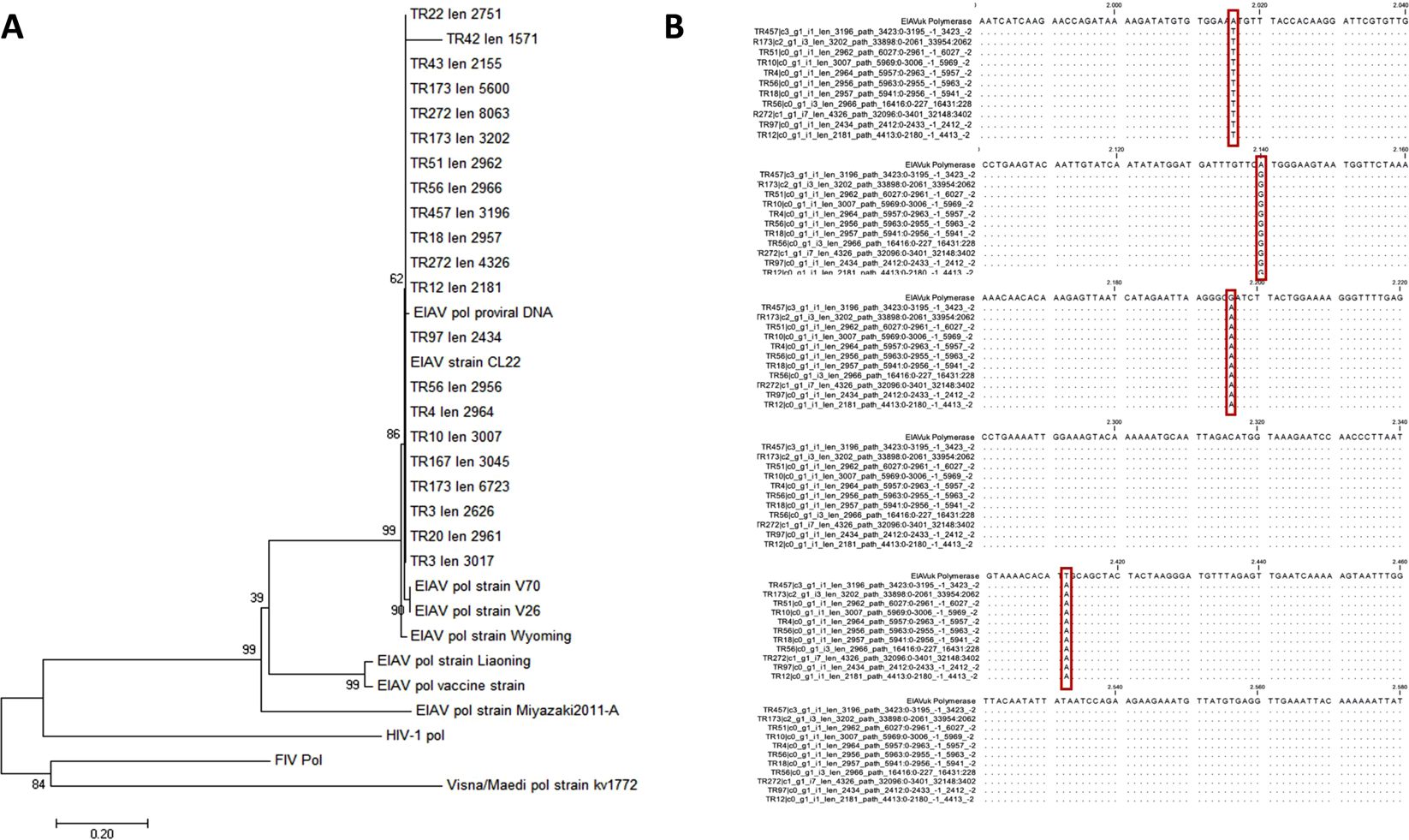 Plasmid DNA contaminant in molecular reagents | Scientific Reports