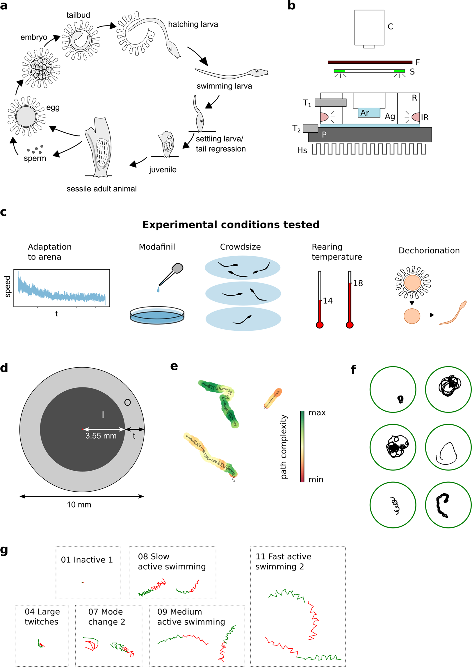 BonZeb: open-source, modular software tools for high-resolution zebrafish  tracking and analysis