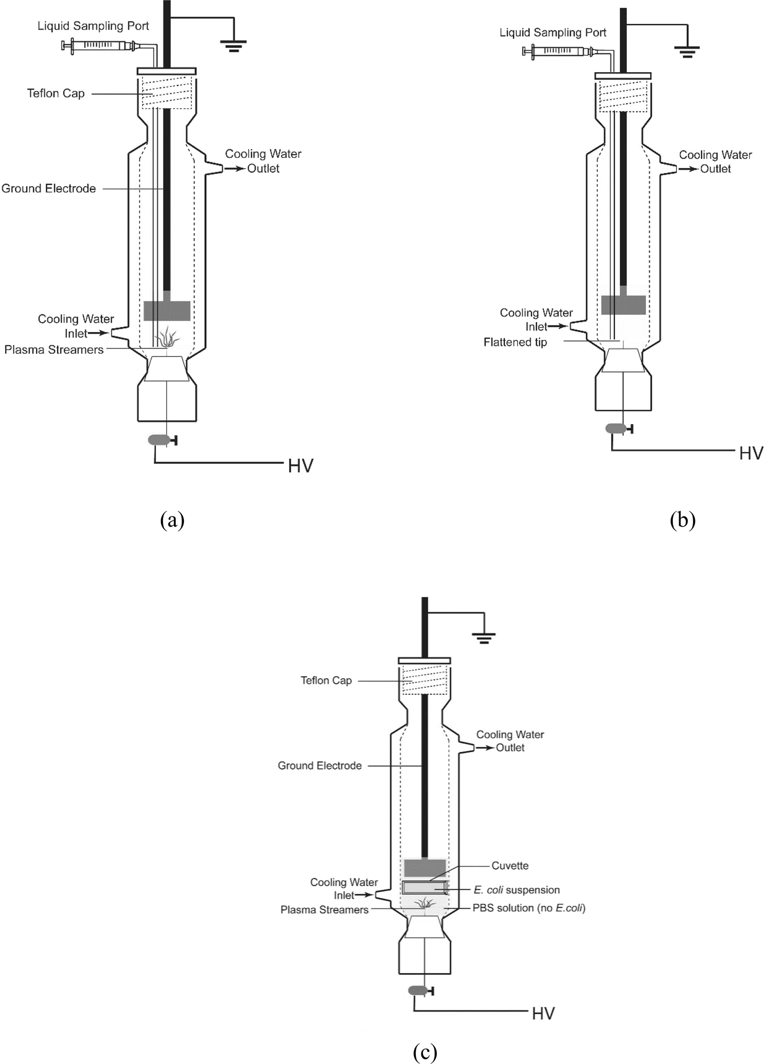 Mechanism Of E Coli Inactivation By Direct In Liquid Electrical Discharge Plasma In Low Conductivity Solutions Scientific Reports
