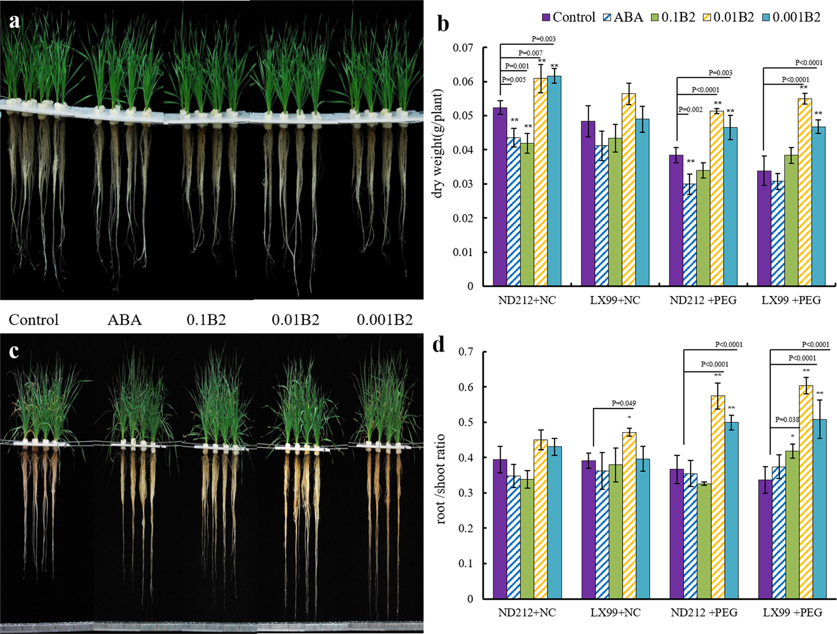 Aba Releases Findings And >> A Novel Aba Functional Analogue B2 Enhances Drought Tolerance In Aba Releases Findings And >> A Novel Aba Functional Analogue B2 Enhances Drought Tolerance In