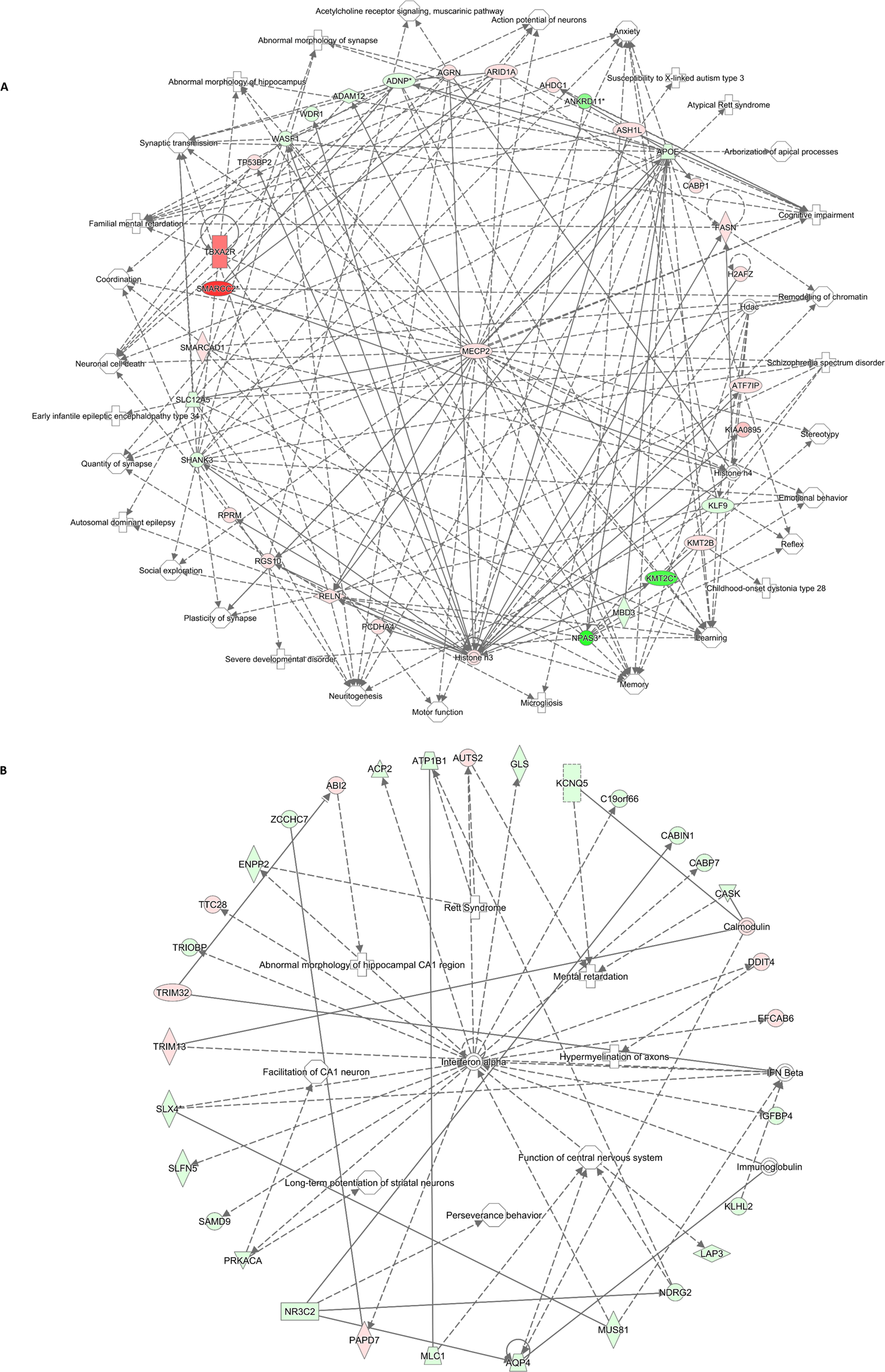 Sex Differences In The Effects Of Prenatal Bisphenol A Exposure On Genes Associated With Autism Spectrum Disorder In The Hippocampus Scientific Reports