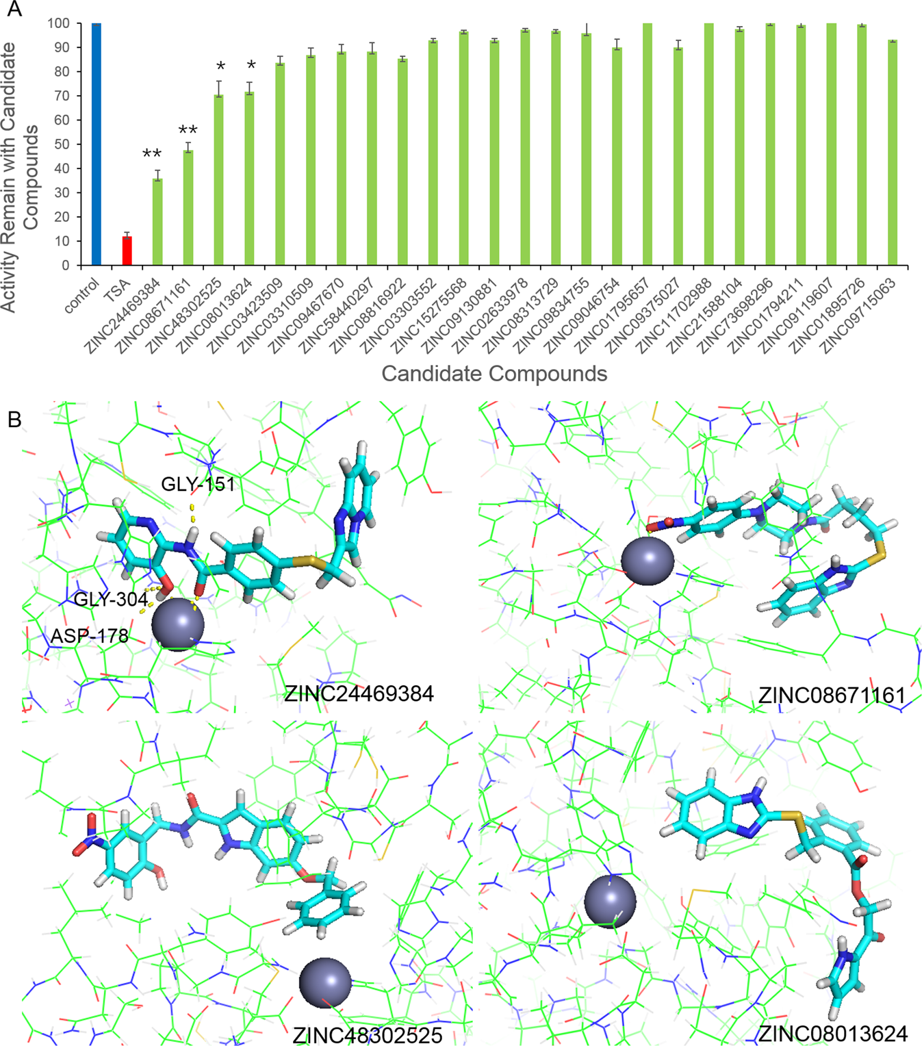 A novel benzamine lead compound of histone deacetylase inhibitor  ZINC24469384 can suppresses HepG2 cells proliferation by upregulating NR1H4  | Scientific Reports