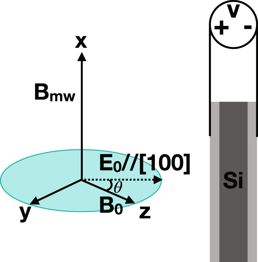 Electron Spin Relaxations Of Phosphorus Donors In Bulk
